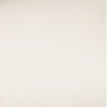 white swatch  