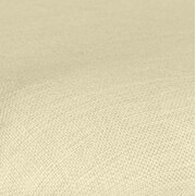 Westerly Outdoor Dining Chair - Cream
