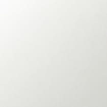 white swatch  