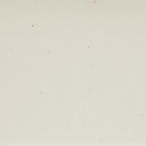 white swatch  