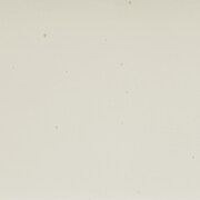 white swatch  