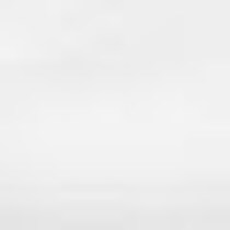 white swatch  