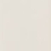 white swatch  