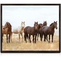 wild horse multicolor wall art   