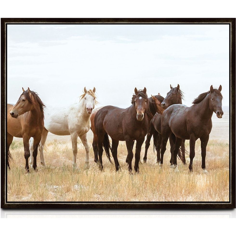 wild horse multicolor wall art   