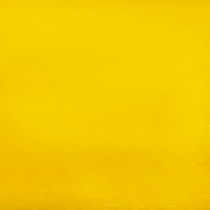 yellow swatch  