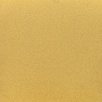 yellow swatch  
