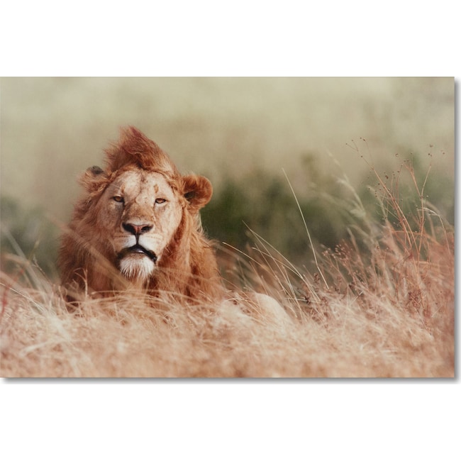 Home Accessories - Your Majesty Wall Art