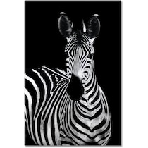 zebra on glass black wall art   