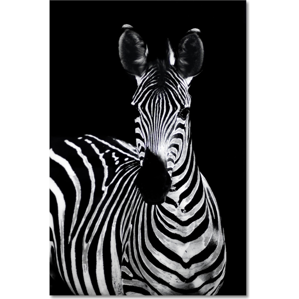 zebra on glass black wall art   